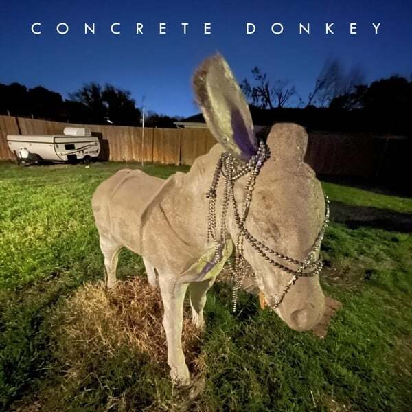 Cover art for Concrete Donkey